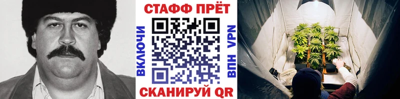 Купить закладку A PVP  Бошки Шишки  Меф мяу мяу  ГАШ  КОКАИН  Спас-Деменск