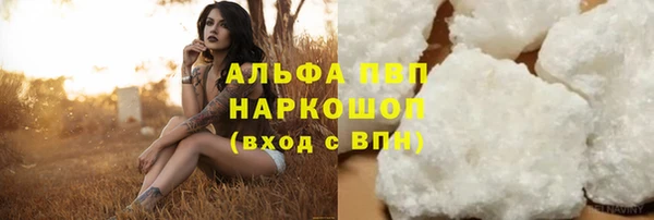 хмурый Нефтекумск