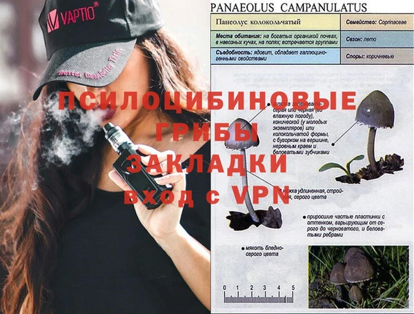 амф Нефтегорск