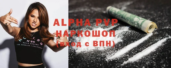 хмурый Нефтекумск